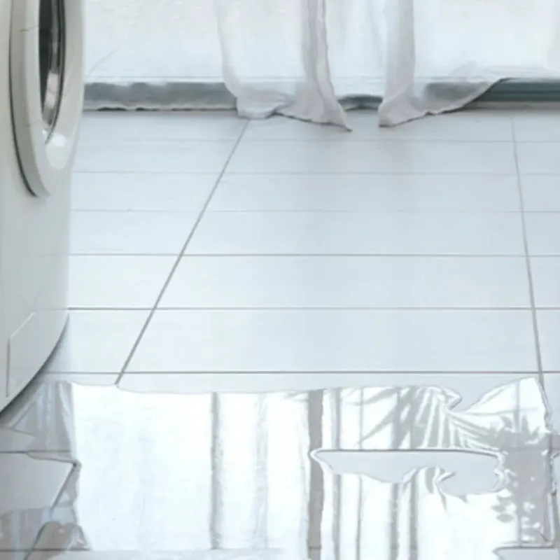 Appliance Leak Cleanup in Royersford, PA
